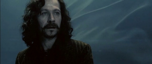 Sirius black's death, harry potter moments that ripped your heart out