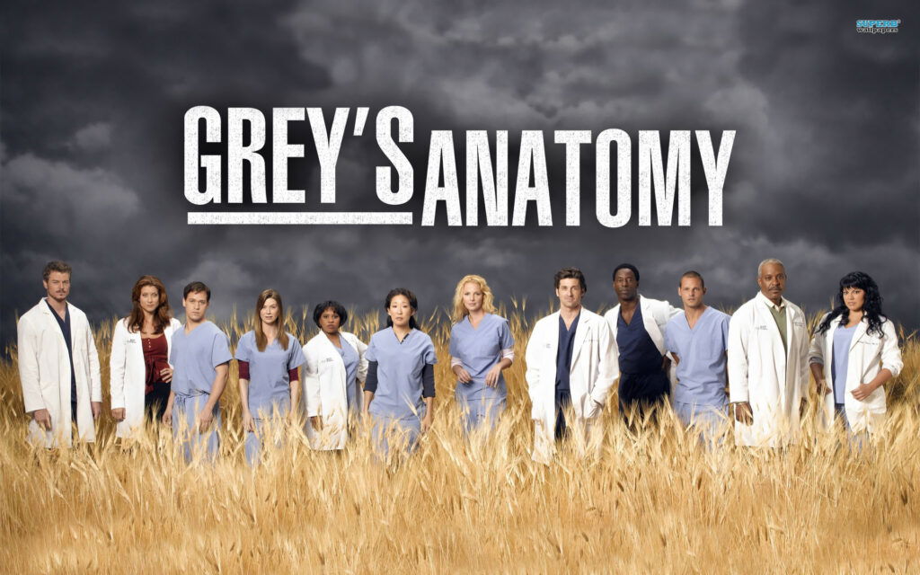 Geek insider 5 tv shows that should have ended a long time ago 4 Tumblr_static_greys-anatomy-15007-1920x1200