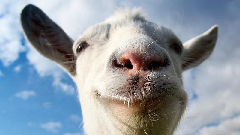 Geek insider, geekinsider, geekinsider. Com,, review: goat simulator - being a farm animal has never been so fun, gaming
