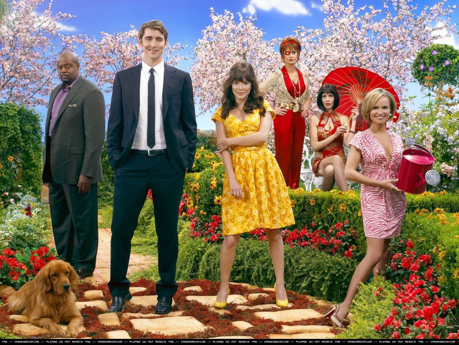 Shows we miss: pushing daisies