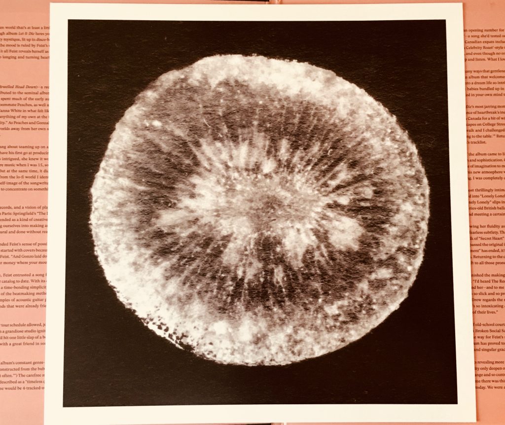 Geek insider vinyl me, please september edition: feist 'let it die' 12 Geek insider, geekinsider, geekinsider. Com,, vinyl me, please september edition: feist 'let it die', entertainment