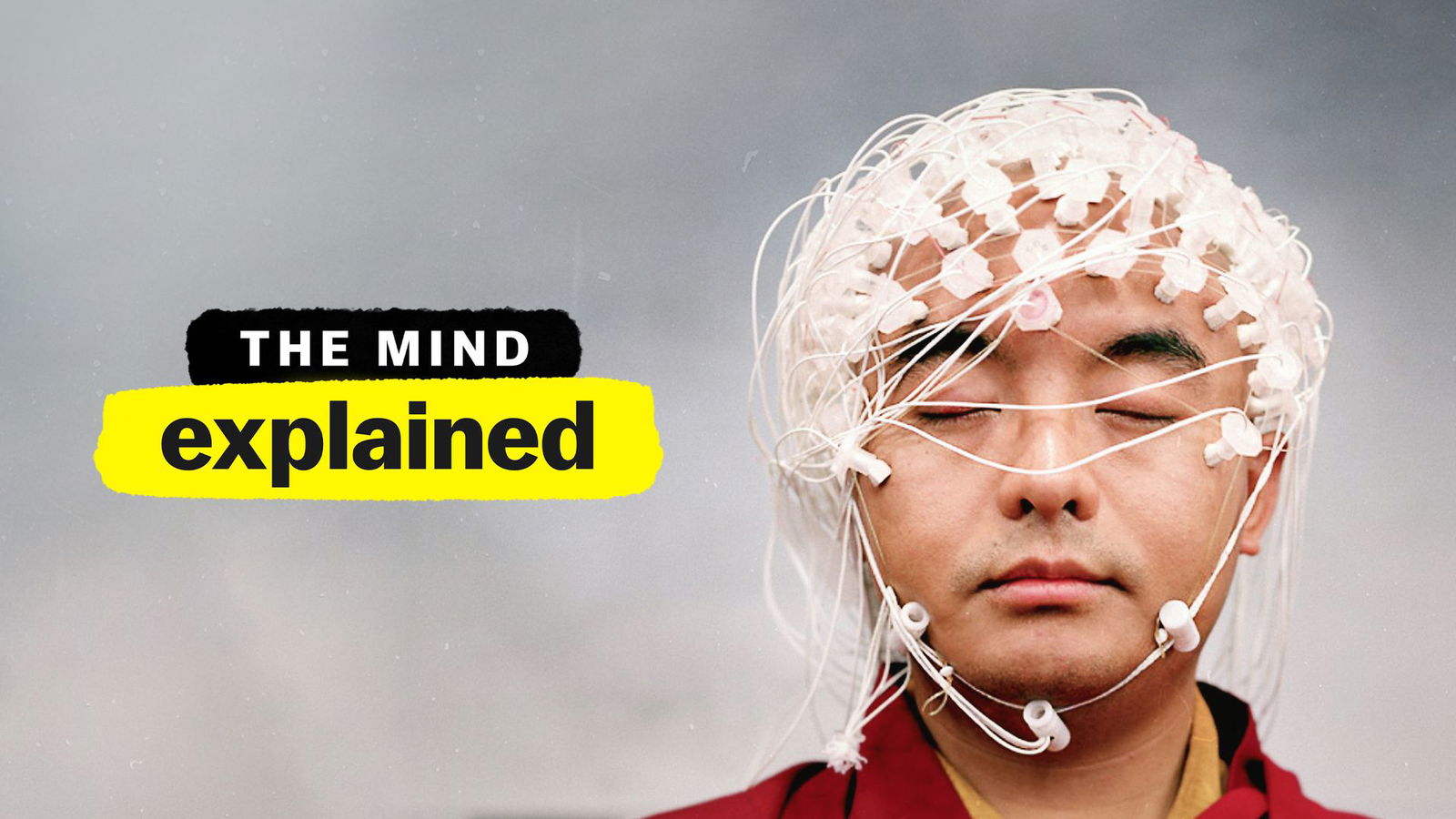 The mind, explained: the tripping brain