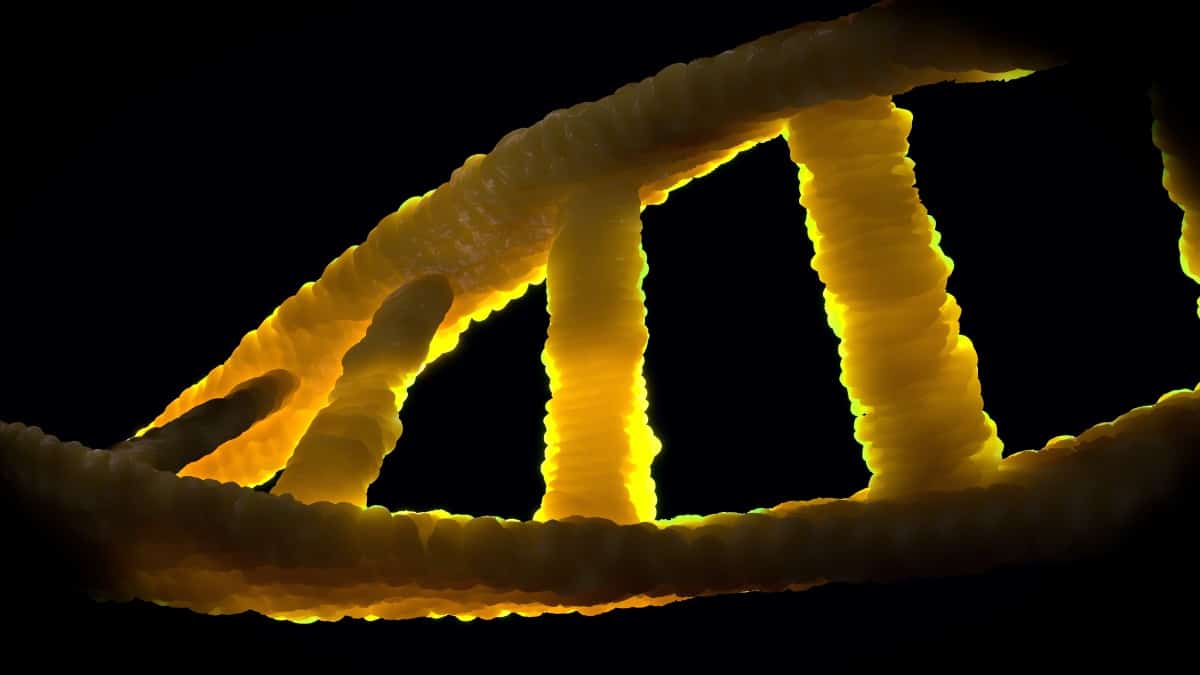 Buyer beware: the dark side of ancestry testing