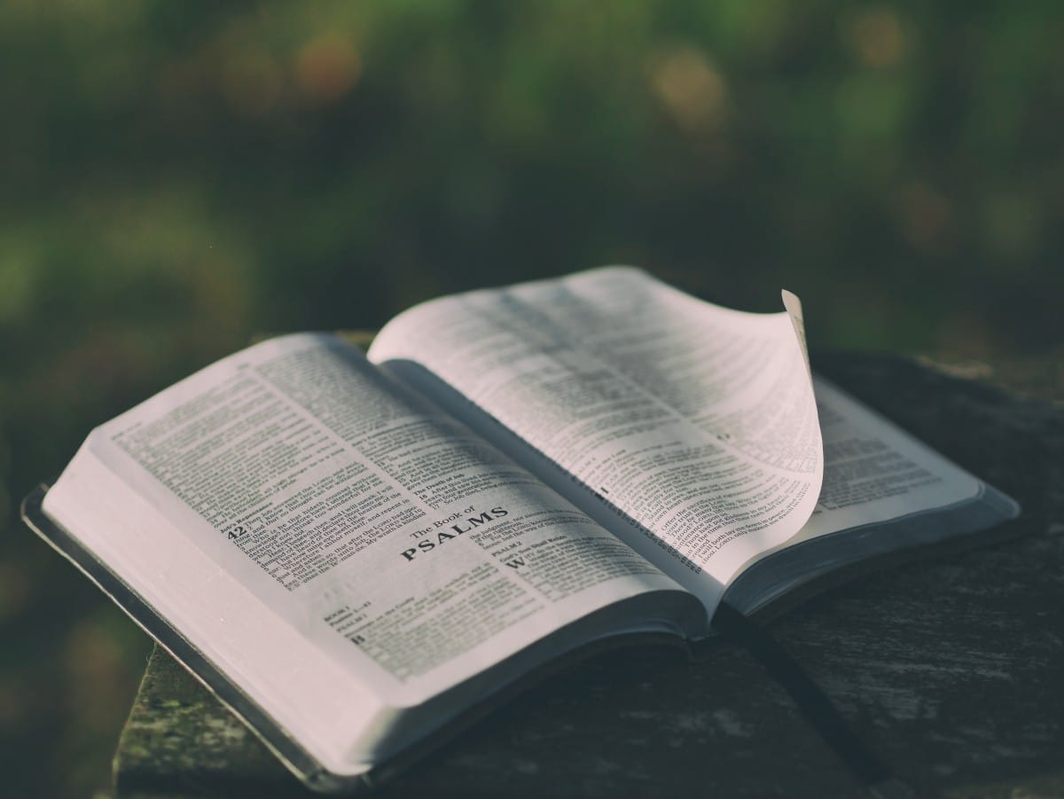 The bible mandela effect: bad changes to the good book?