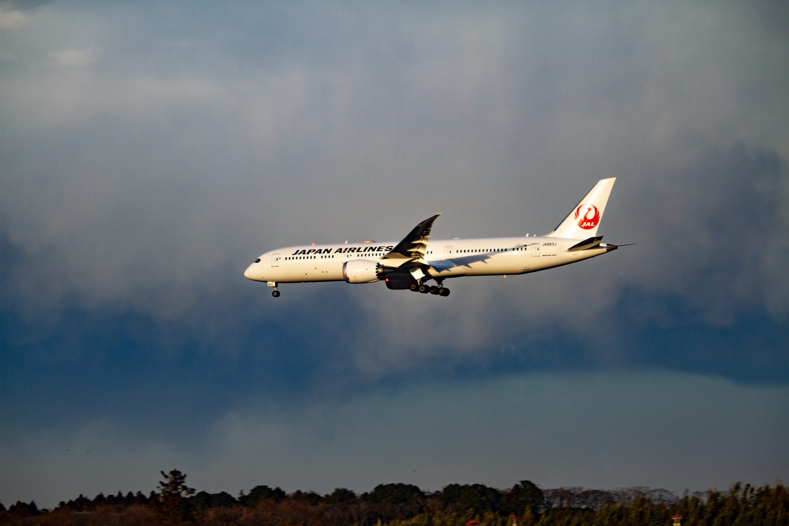 Japan airlines free tickets