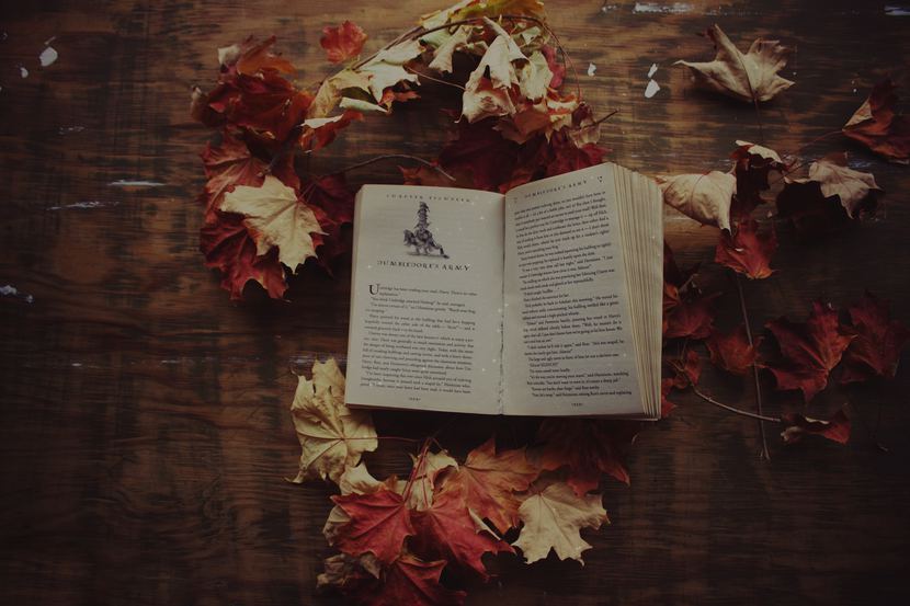 Harry potter book learn language