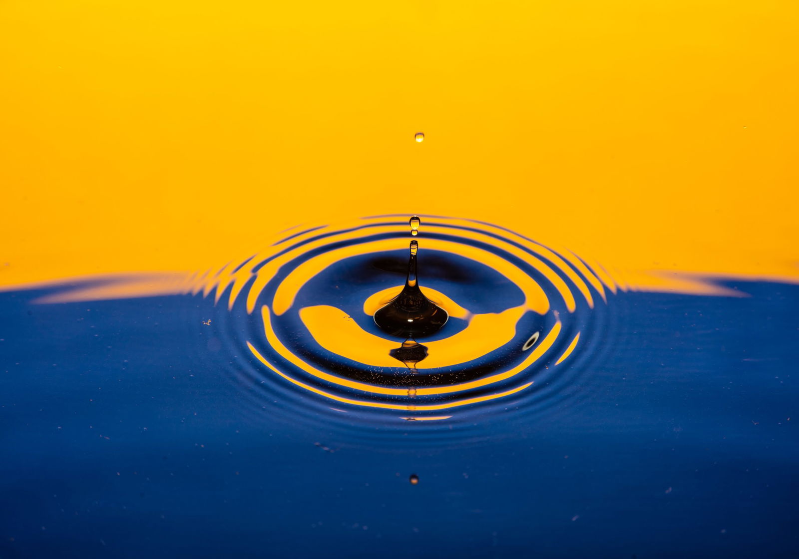 Ripple and moneygram