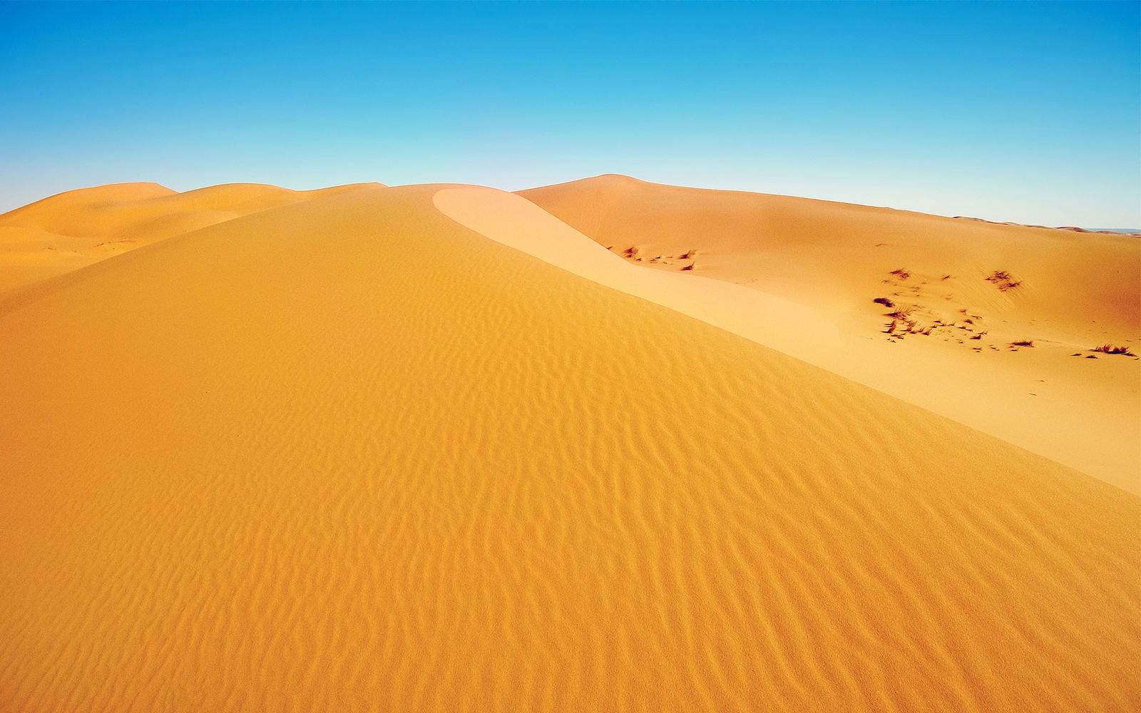 Dune