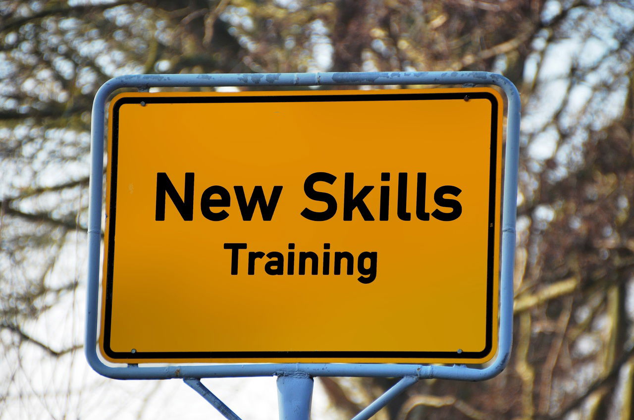 Skills development