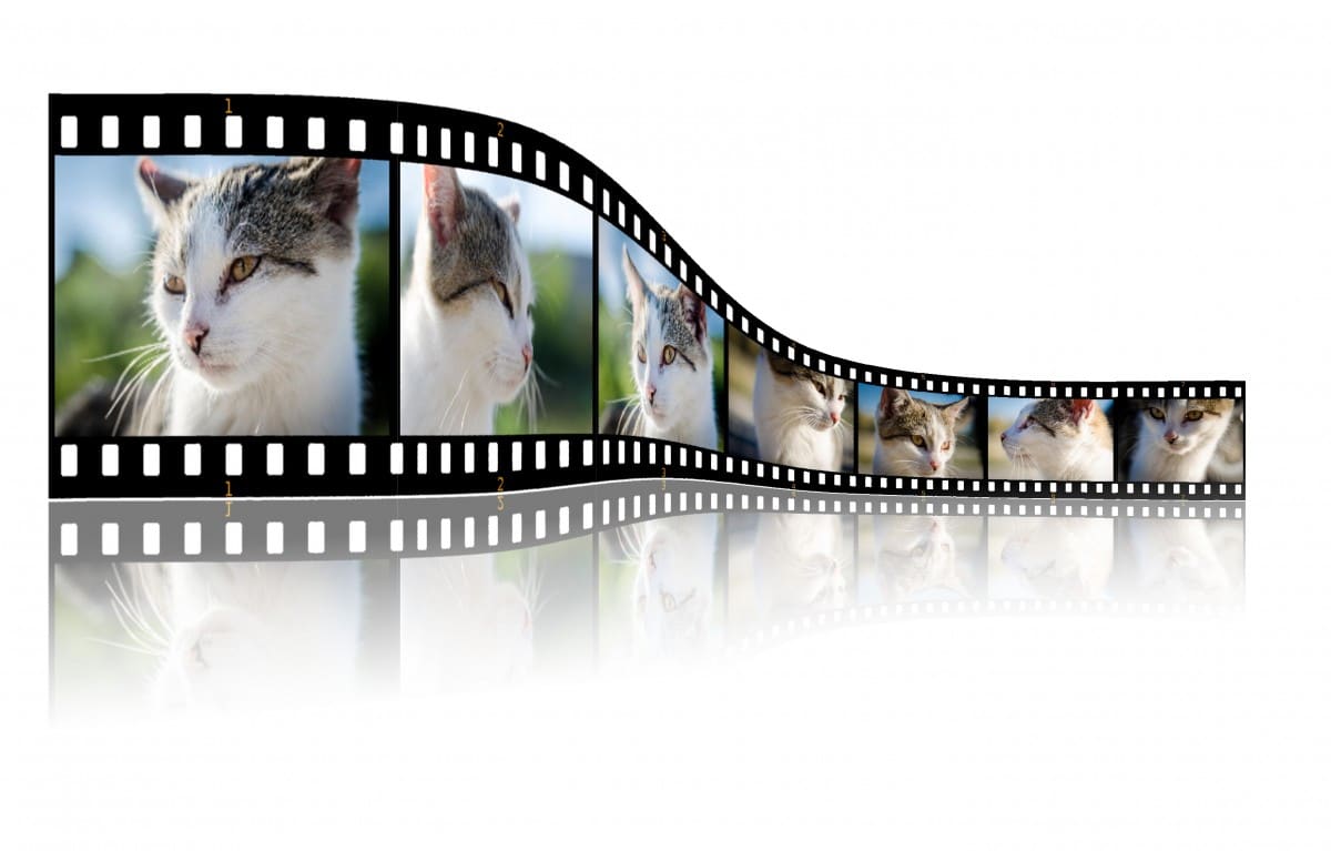 Video marketing is the key to success: how to increase your e-commerce sales with video