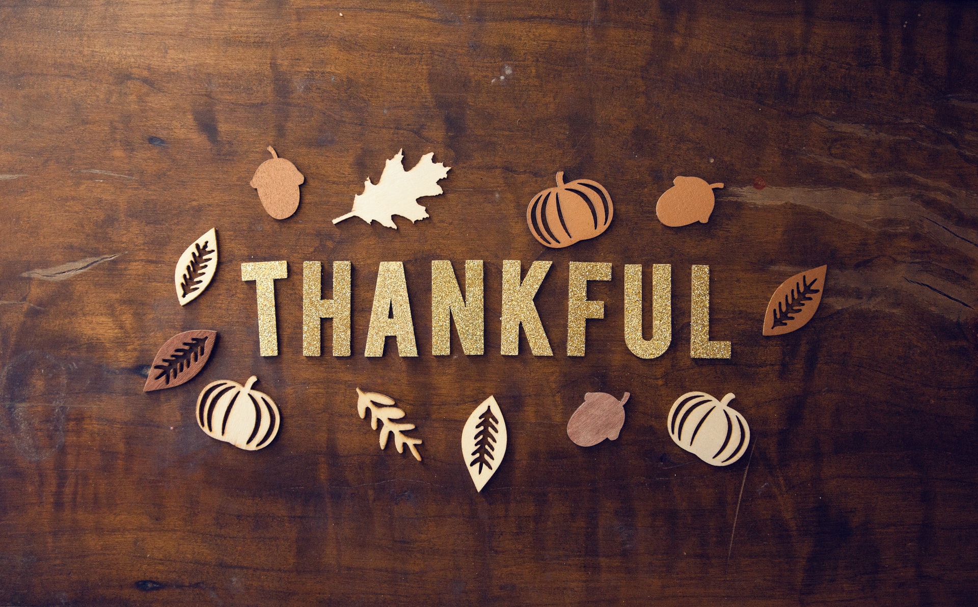 Geek insider, geekinsider, geekinsider. Com,, how to be thankful after thanksgiving, living