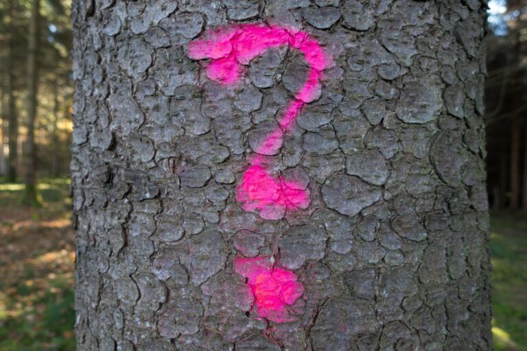 How to disable the popup blocker on safari