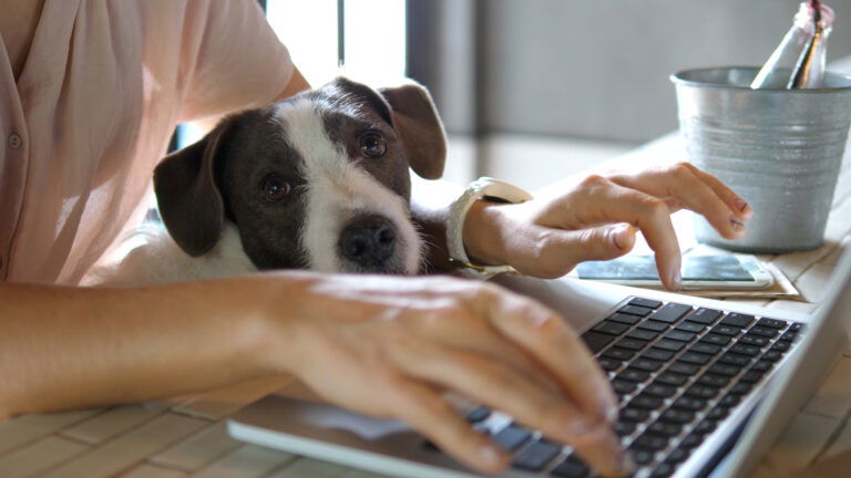 10 work from home careers you should know about 