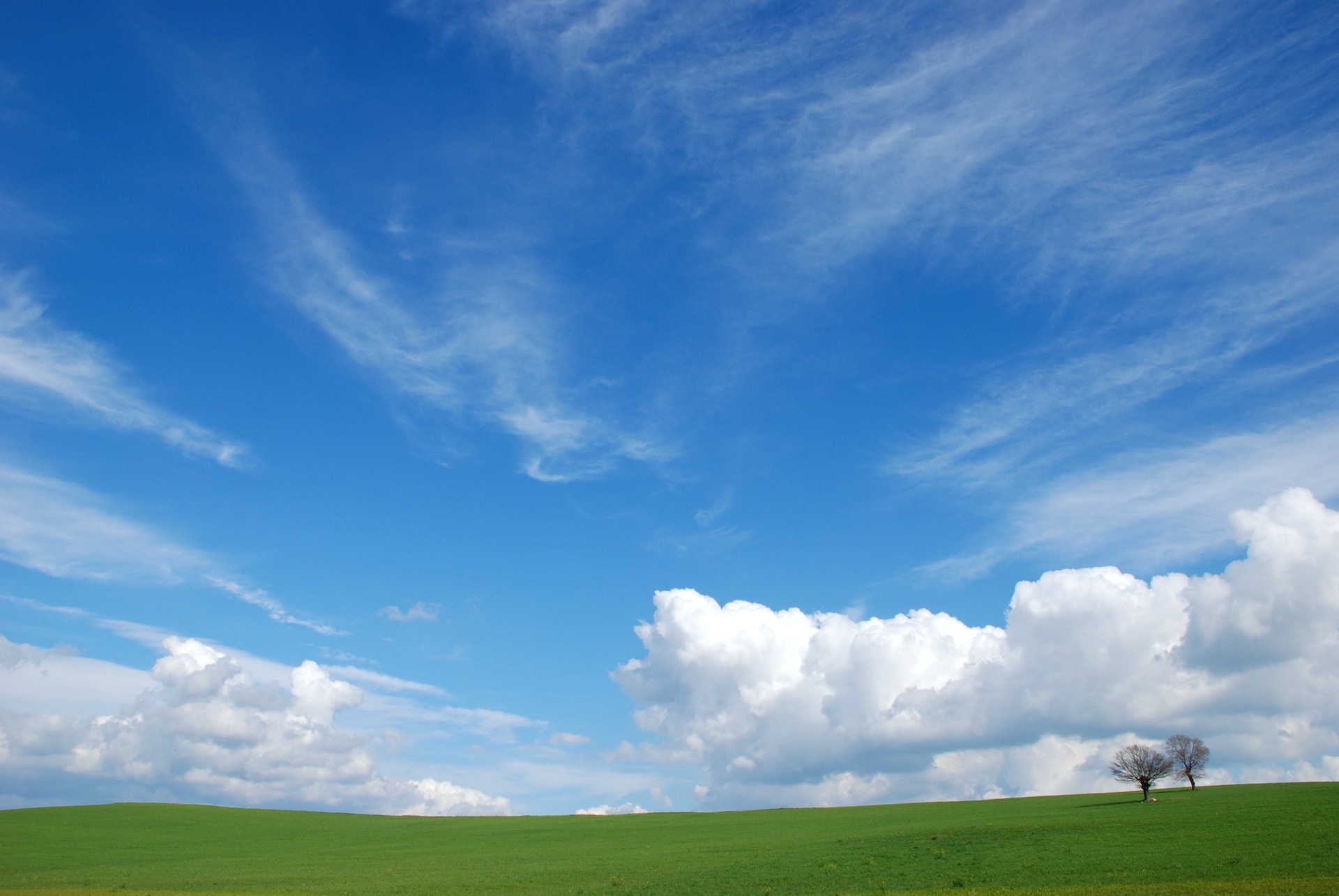 What is bluesky?