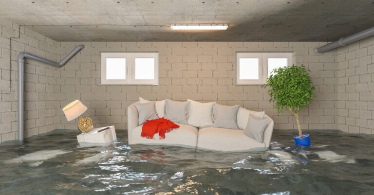 Preventing flooded basements: how proper drain maintenance saves your home