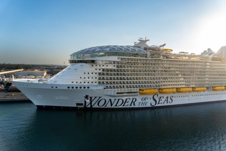 Top 5 largest cruise ships in the world