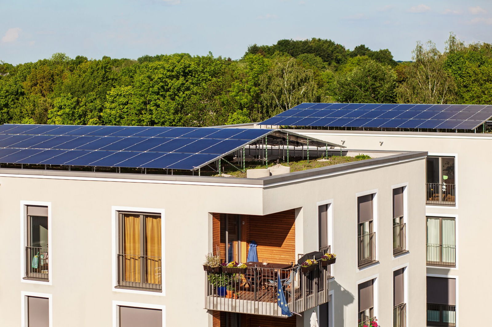 The rise of solar energy – and why it’s the way forward
