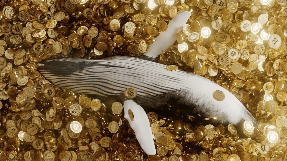Three things to learn about crypto whales