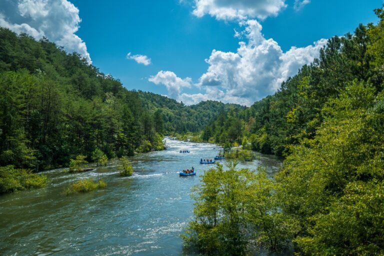 Four whitewater rafts float down a river on a sunny day, surrounded by forested cliffs, blue skies, and scattered clouds.