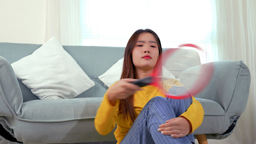 How to eliminate pests in your home